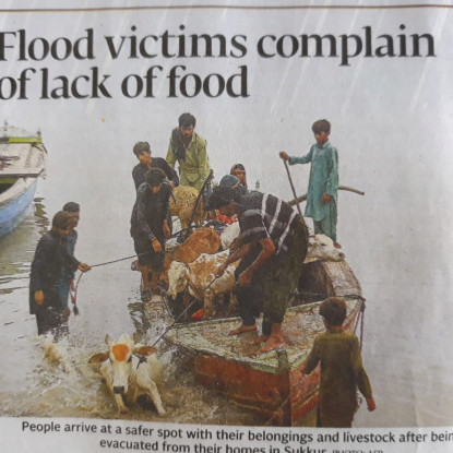 Flutkatastrophe in Pakistan