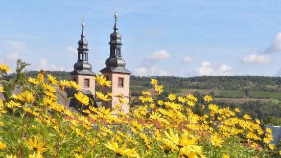 Die Kirchtürme vom Kloster Triefenstein